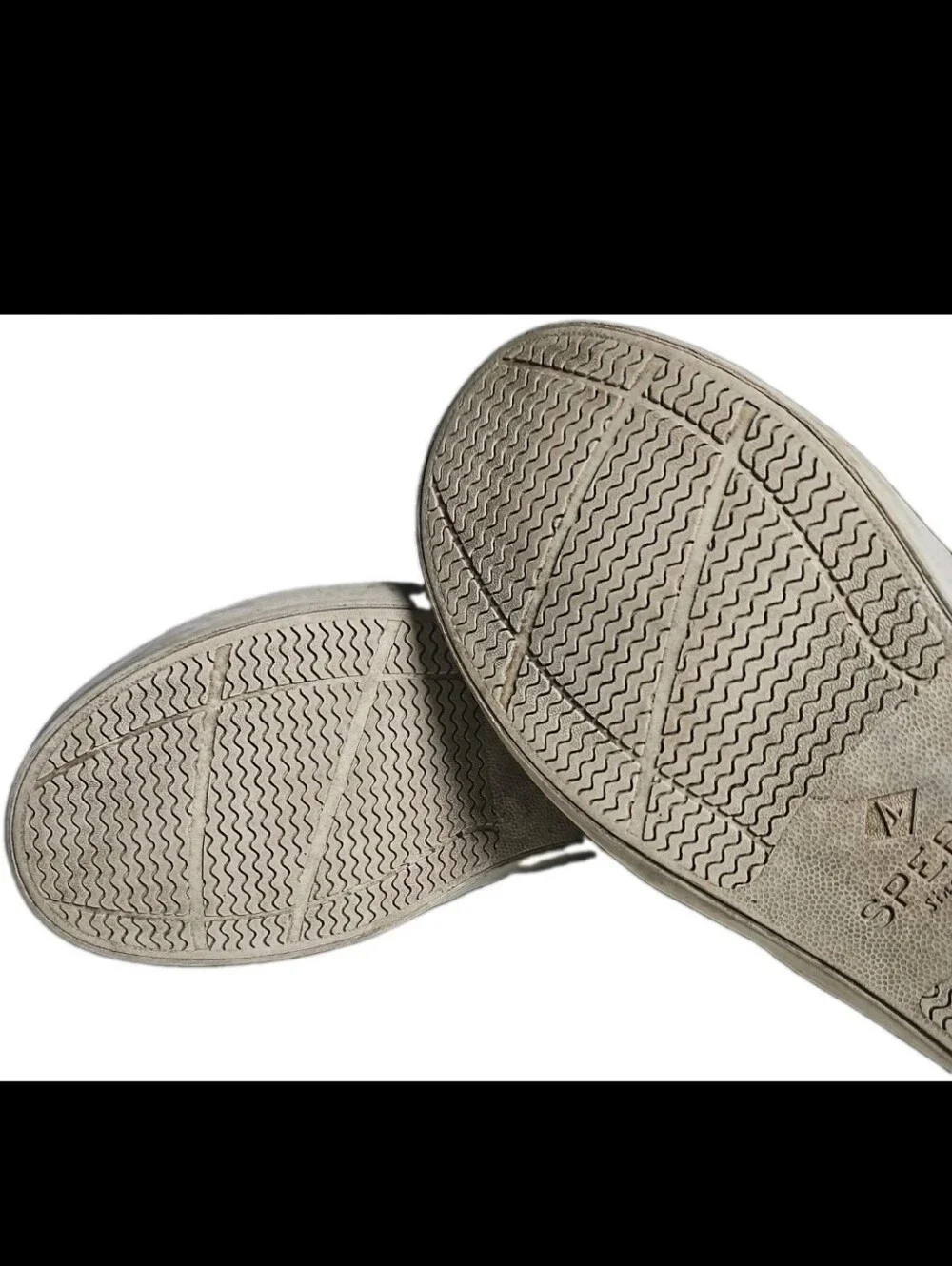 Sperry casual canvas